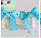 School Hair Clips in Sky Blue/ Maryknoll Convent School (BS1970-BS1971)