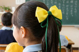 Big Bow School Hair Ties, Good Hope / Yellow and Dark Green (BS2146）