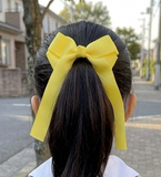 Yellow and Forest Green School Hair Ties for Good Hope School (BS849-BS850)