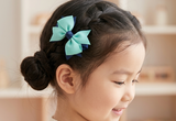 School Hair Clips for Learning Habitat Kindergarten (BS1274-BS1276)