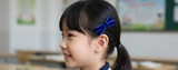 School Hair Accessories,  Royal Blue/ DGJS (BS1285-BS1287)