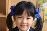 寶藍色橡筋髮圈/ 拔萃女小學橡筋髮圈 (BS735)