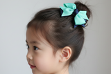 School Hair Clips for Learning Habitat Kindergarten (BS1274-BS1276)